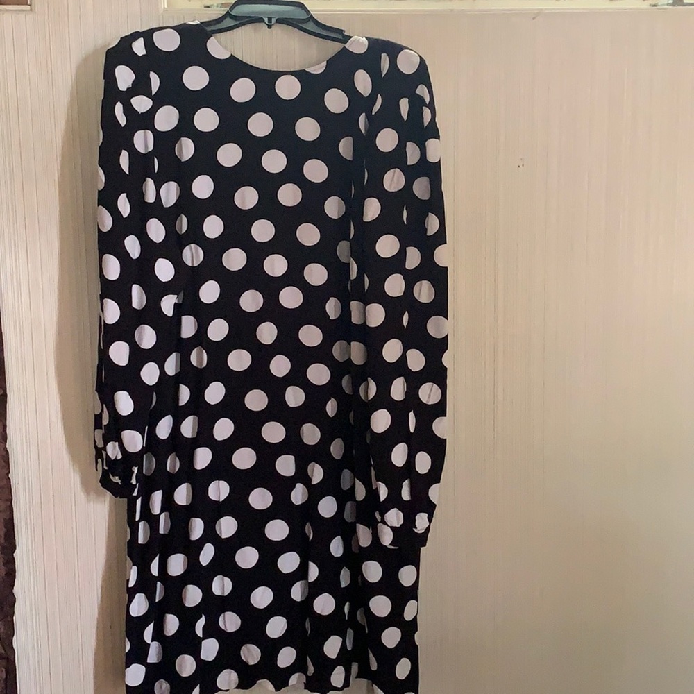 Any Taylor loft polka dot dress